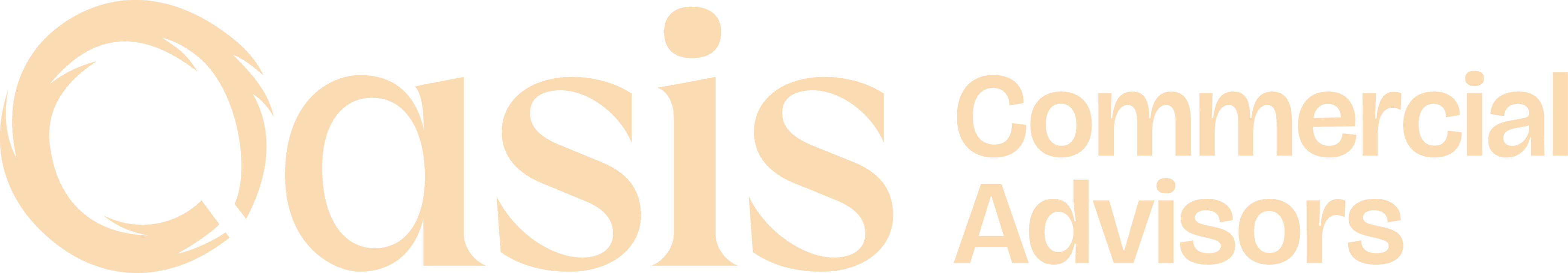 Oasis Commercial Advisors - Boutique Commercial Strategy and Advisory Firm